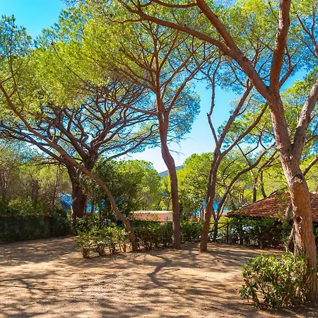 Vakantiepark Lacona Pineta 3*