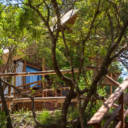 Vakantiepark Lacona Pineta