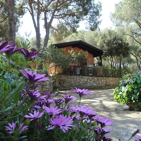 Vakantiepark Lacona Pineta Capoliveri (Isola d'Elba)