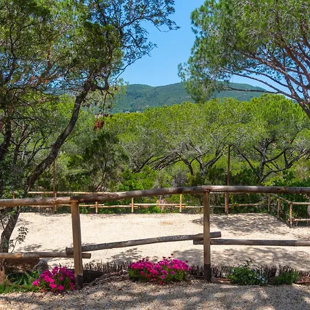 Lacona Pineta Vakantiepark
