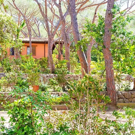 Semesterpark Lacona Pineta Capoliveri (Isola d'Elba)